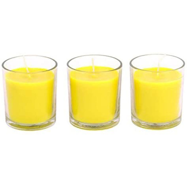 The Party Aisle™ Citronella Scented Votive Candle with Glass Holder